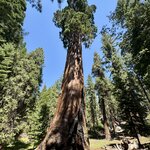 Photo taken by Silvain B