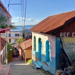 Flores | Photo taken by BRAD K