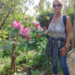 Photo taken by George N