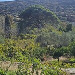 Photo taken by Nicole W