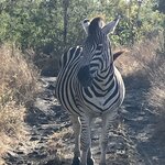 Photo taken by rhonda c