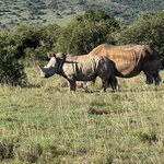 Photo taken by Martin D