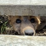 Photo taken by Donna R