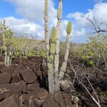 Photo taken by Jennifer A