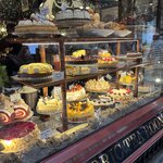 Photo taken by Judith C