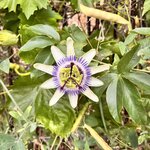 Photo taken by Michelle L