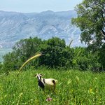 Photo taken by JoAnne C