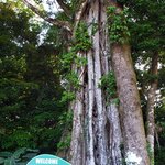 Photo taken by Susan D