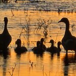 Photo taken by Kaye D