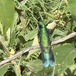 Photo taken by rebecca t