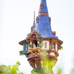 Photo taken by Kimberly M