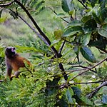 Photo taken by Andy H