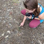 Photo taken by Jacob S