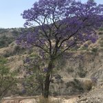 Photo taken by alton r