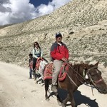 Horsing around | Photo taken by Lisa D