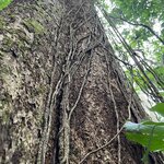 Photo taken by Anil C