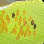 Photo taken by Kim L