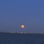 Photo taken by Lynn R