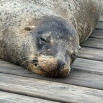 Photo taken by Sharon J