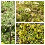 Photo taken by Eliza M