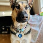 Photo taken by Debbie W