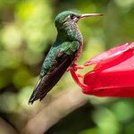 Photo taken by Gill P