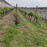 Photo taken by Beatrice G