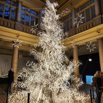 Photo taken by Jocelyn C