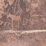 Photo taken by Nigel R