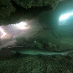 Photo taken by Jennifer Z