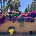 Photo taken by Jackie O