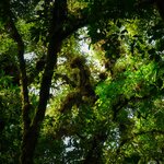 Photo taken by Wilbert A