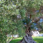 Photo taken by Mike T