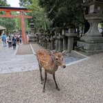 Photo taken by Joy W