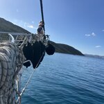 Photo taken by Michelle P