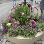 Photo taken by Nan K