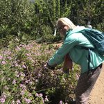 Photo taken by Victoria P