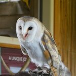 Photo taken by Maryann S