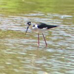 Photo taken by Bonnie Y