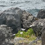 Photo taken by Catherine H