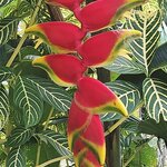 Photo taken by Karen P