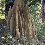 Photo taken by Dee M