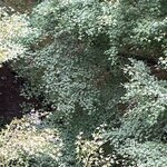 Photo taken by Adrian D