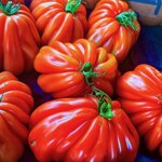 Photo taken by Nancy M