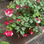 Photo taken by Shanthi V