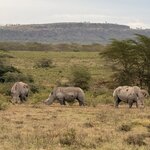 Photo taken by Gabrielle A