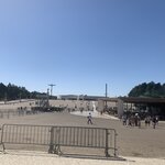 Photo taken by Dee C