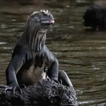 Photo taken by mindy n