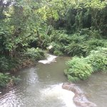 Beautiful around Pyin Oo Lwin | Photo taken by Rachael W