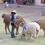 Photo taken by Jason P